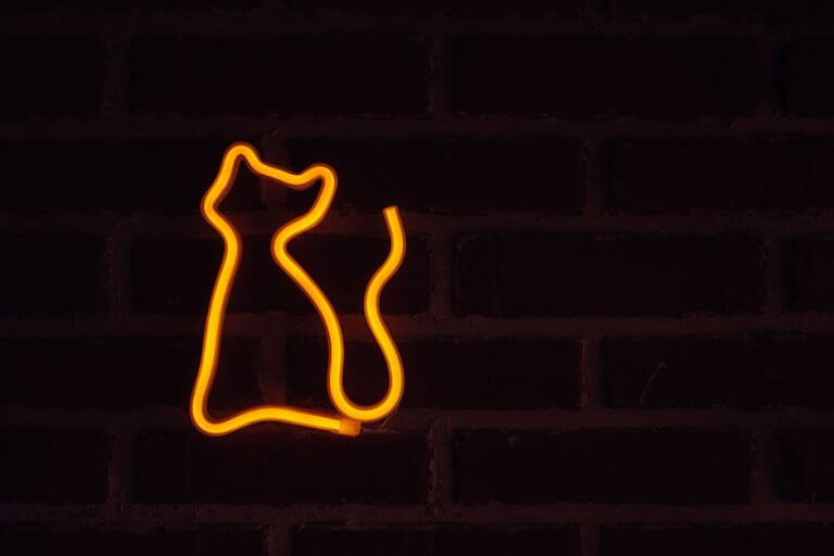 Cute Cat Outline SVG for Vinyl Decals