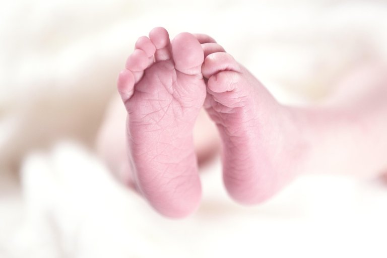 Baby Milestone SVGs: Month Markers & Script Fonts
