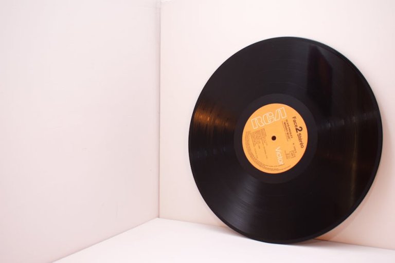 Premium Vinyl vs Everyday Vinyl finish and longevity
