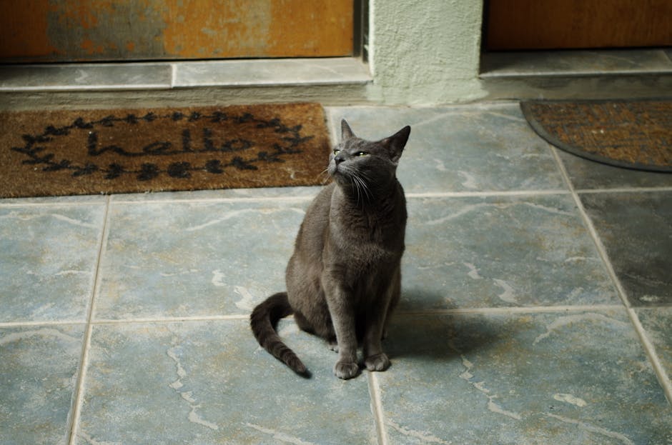 Doormat stencils – bold outdoor lettering