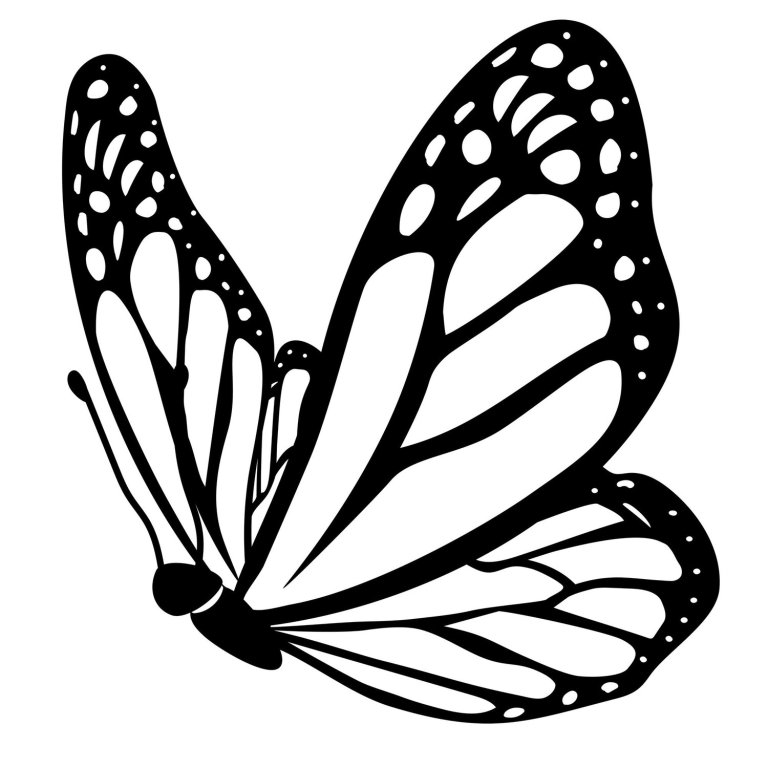 Butterfly SVG Designs for Elegant Crafts