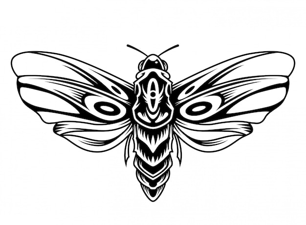 Free SVG Files for Cricut vs SVG Bundles